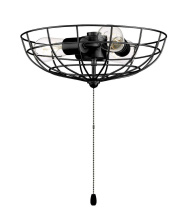 Craftmade LK2801-FB-LED - Caged Bowl w/3x4w LED